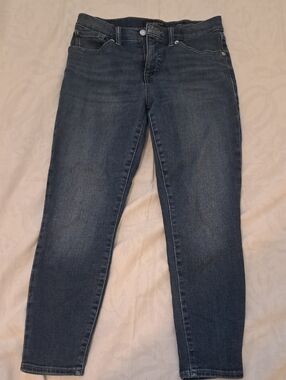 Lucky Brand Women's Dark Indigo Skinny Jeans